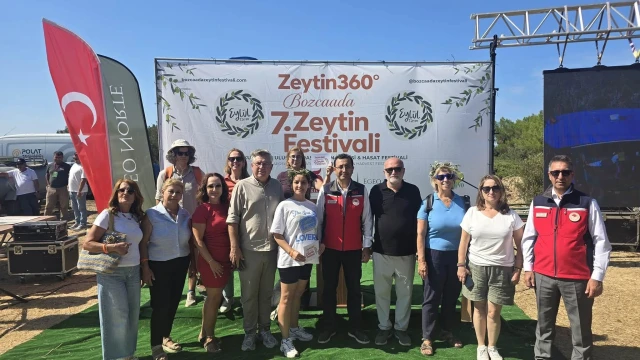 Bozcaada’da Zeytin Hasadında Makine Dönemi Başladı — Fotoğraf 8