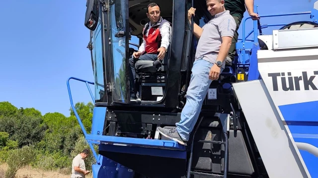 Bozcaada’da Zeytin Hasadında Makine Dönemi Başladı — Fotoğraf 10