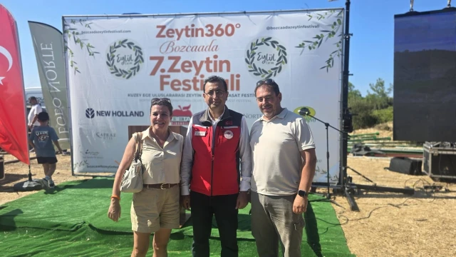 Bozcaada’da Zeytin Hasadında Makine Dönemi Başladı — Fotoğraf 13
