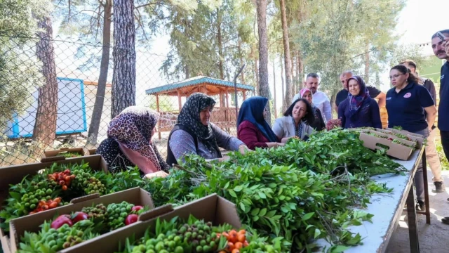 Bucak’ta tarımsal işletmelere ziyaret gerçekleştirildi — Fotoğraf 13