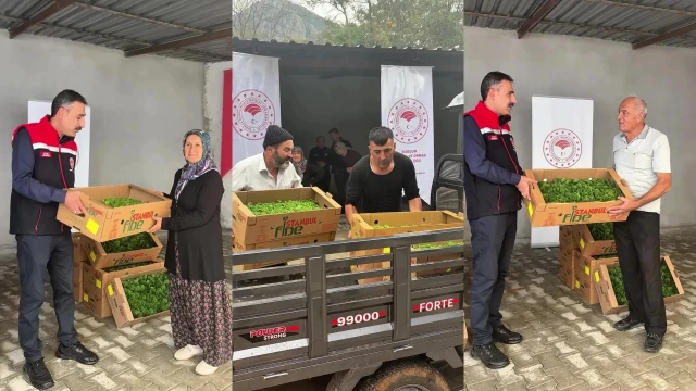 Burdur’da Üreticilere %75 Hibeyle 164 Bin 500 Marul Fidesi