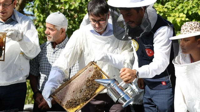 Bursa Büyükşehir Belediyesi Keles’te bal hasadı yaptı — Fotoğraf 6