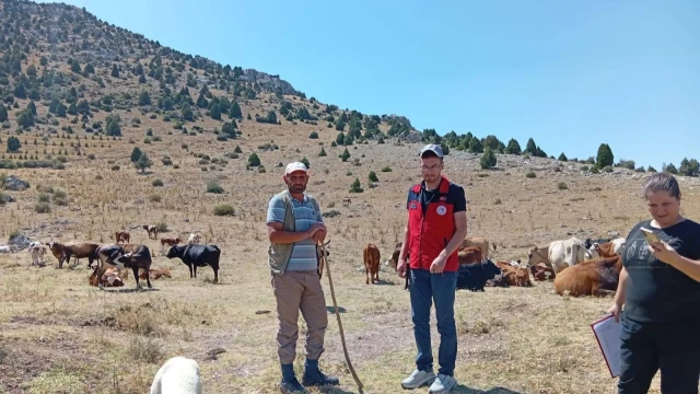 Çay İlçe Tarım Müdürlüğü: Yerli Kara Sığırları Tespit Edildi — Fotoğraf 6