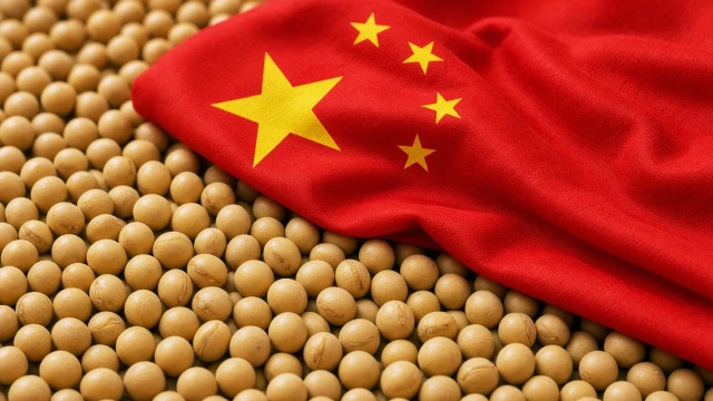 Çin, ABD’den yaklaşık 1 milyon ton soya satın aldı