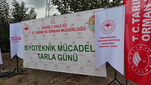 Denizli’de Akdeniz Meyve Sineğine Karşı 500 Bin Steril Böcek — Fotoğraf 1