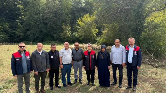Düzce'de Üreticiye 100 Küçükbaş Hayvan Desteği — Fotoğraf 3