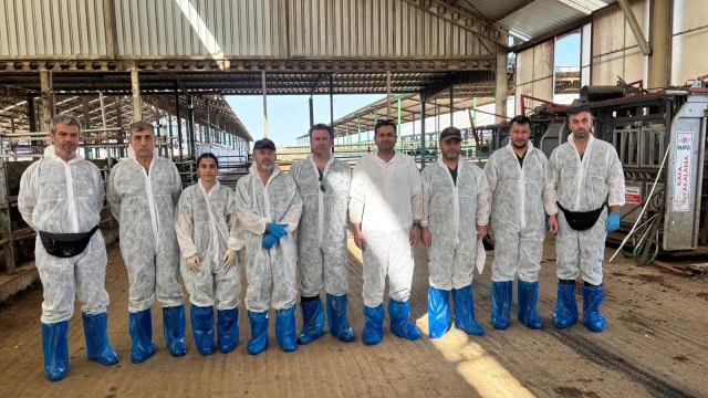 Edirne’de ithal büyükbaş hayvanlara sağlık kontrolü yapıldı — Fotoğraf 2
