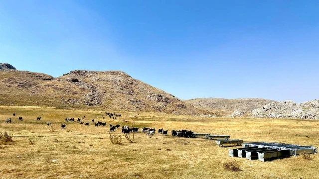 Erdemli’de 15 Bin 254 Dekarlık Meraya Destek — Fotoğraf 2