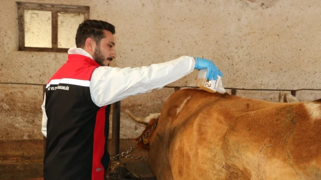 Erzincan’da 2026 yılı kene mücadelesi başladı