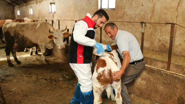 Erzincan’da 2026 yılı kene mücadelesi başladı — Fotoğraf 2