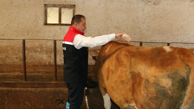 Erzincan’da 2026 yılı kene mücadelesi başladı — Fotoğraf 3
