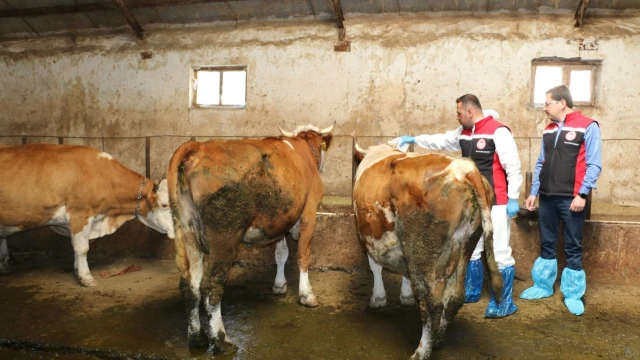 Erzincan’da 2026 yılı kene mücadelesi başladı — Fotoğraf 4