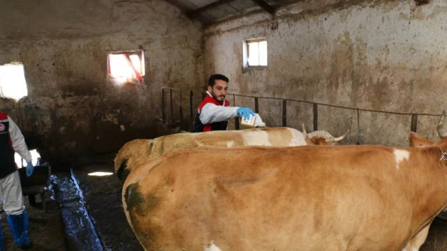Erzincan’da 2026 yılı kene mücadelesi başladı — Fotoğraf 5