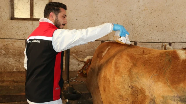 Erzincan’da 2026 yılı kene mücadelesi başladı — Fotoğraf 8