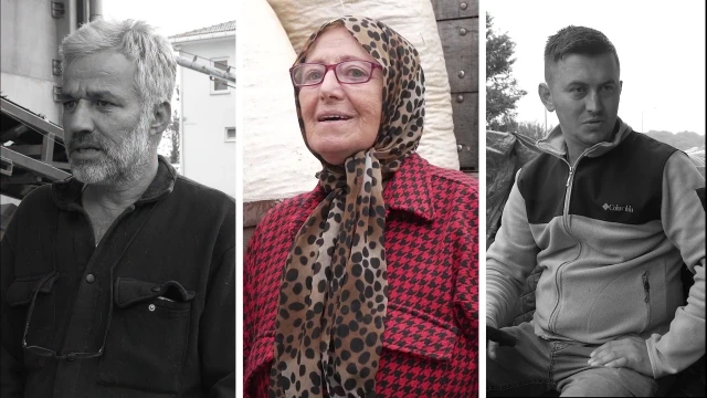 Fındık Üreticileri: TMO’nun Alımı Bizi Rahatlattı