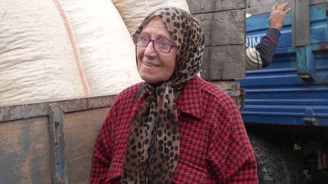 Fındık Üreticileri: TMO’nun Alımı Bizi Rahatlattı — Fotoğraf 5