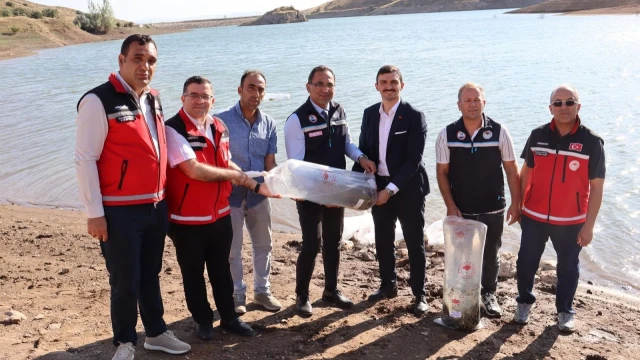 Gümüşhane’de 11 göl ve gölete 257 bin 500 sazan bırakıldı — Fotoğraf 1