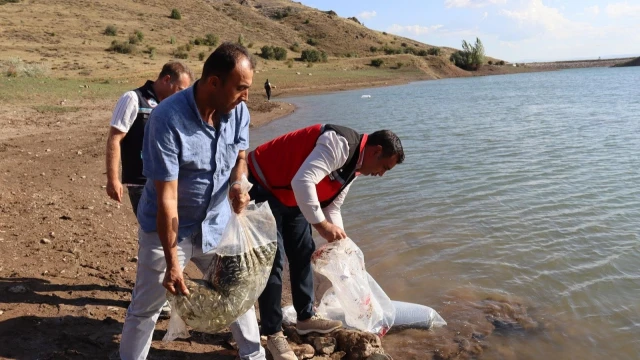 Gümüşhane’de 11 göl ve gölete 257 bin 500 sazan bırakıldı — Fotoğraf 2