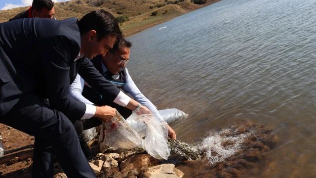 Gümüşhane’de 11 göl ve gölete 257 bin 500 sazan bırakıldı — Fotoğraf 3