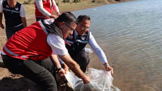 Gümüşhane’de 11 göl ve gölete 257 bin 500 sazan bırakıldı — Fotoğraf 5