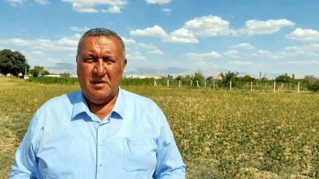 Gürer: Nohut üreticisi artan maliyetlerle mücadele ediyor