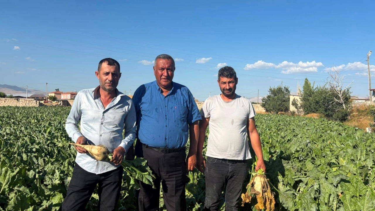Gürer: Şeker pancarında alım fiyatı en az 4 bin lira olsun