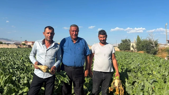 Gürer: Şeker pancarında alım fiyatı en az 4 bin lira olsun