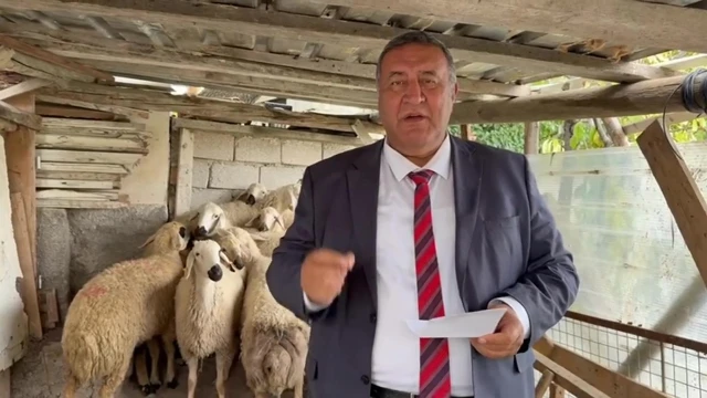 Gürer: Süt Üretiminde 2,1 Milyon Tonluk Kayıp Yaşandı