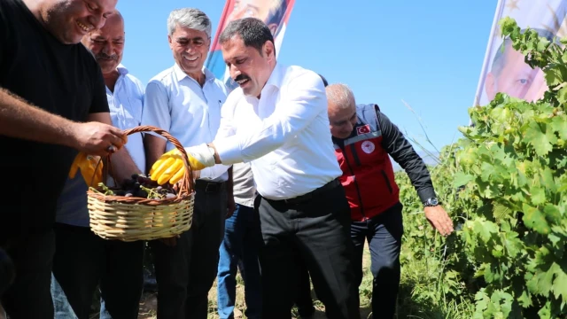 Hassa’da 2026 Üzüm Rekoltesi 81 Bin Ton Bekleniyor