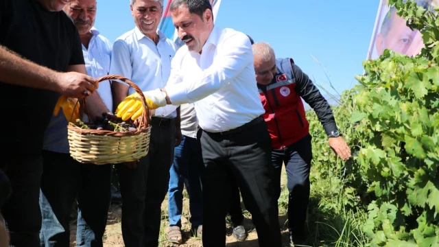 Hassa’da 2026 Üzüm Rekoltesi 81 Bin Ton Bekleniyor — Fotoğraf 1