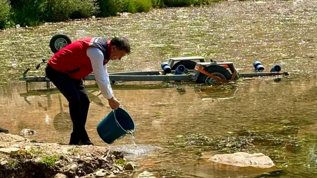 Hatay’da baraj ve göletlere 682 bin sazan yavrusu bırakıldı