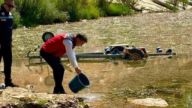 Hatay’da baraj ve göletlere 682 bin sazan yavrusu bırakıldı — Fotoğraf 1