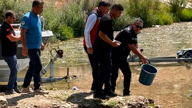 Hatay’da baraj ve göletlere 682 bin sazan yavrusu bırakıldı — Fotoğraf 5