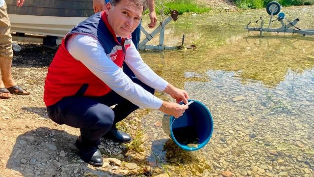 Hatay’da baraj ve göletlere 682 bin sazan yavrusu bırakıldı — Fotoğraf 7