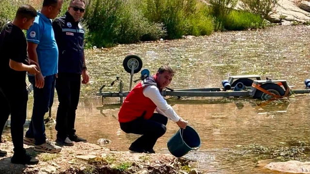 Hatay’da baraj ve göletlere 682 bin sazan yavrusu bırakıldı — Fotoğraf 8