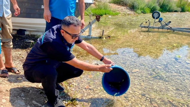 Hatay’da baraj ve göletlere 682 bin sazan yavrusu bırakıldı — Fotoğraf 9