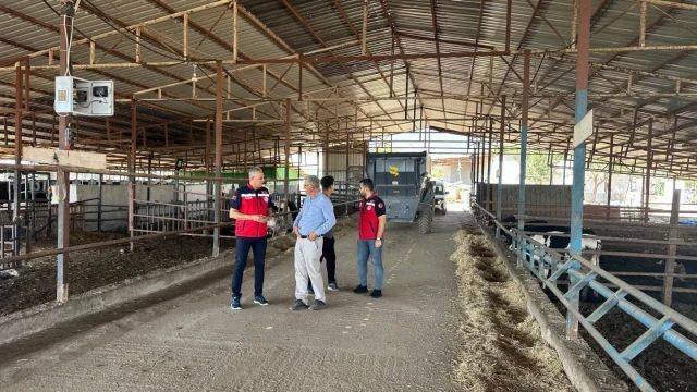 Hatay’da Hastalıktan Ari İşletmeler İçin Yeni Model Anlatıldı — Fotoğraf 3