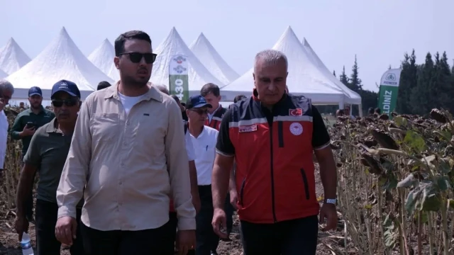 Hatay’da TAKE Projesi kapsamında ayçiçeği hasadı yapıldı — Fotoğraf 3