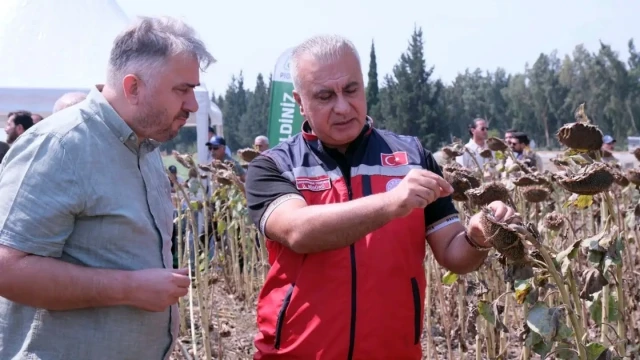 Hatay’da TAKE Projesi kapsamında ayçiçeği hasadı yapıldı — Fotoğraf 7