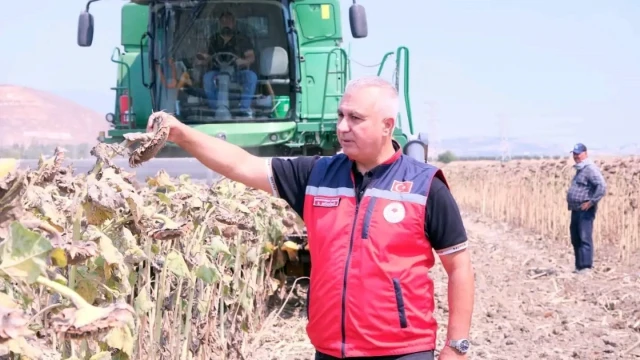 Hatay’da TAKE Projesi kapsamında ayçiçeği hasadı yapıldı — Fotoğraf 11