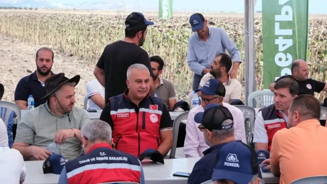Hatay’da TAKE Projesi kapsamında ayçiçeği hasadı yapıldı — Fotoğraf 12