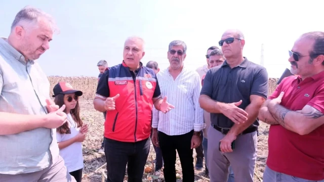 Hatay’da TAKE Projesi kapsamında ayçiçeği hasadı yapıldı — Fotoğraf 13