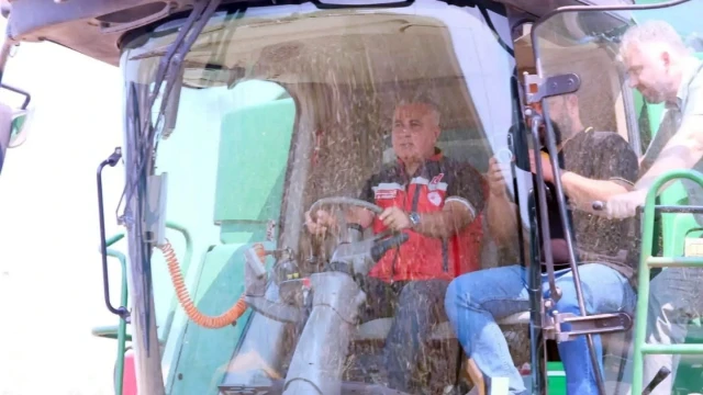 Hatay’da TAKE Projesi kapsamında ayçiçeği hasadı yapıldı — Fotoğraf 16
