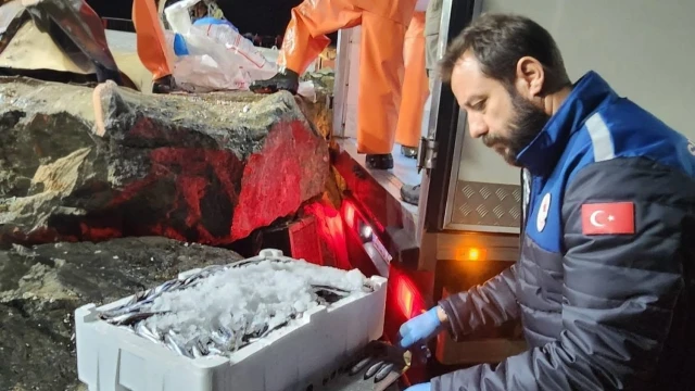 İzmir’de Yasal Boy Altındaki Su Ürünlerine El Konuldu — Fotoğraf 2