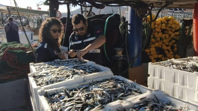 İzmir’de Yasal Boy Altındaki Su Ürünlerine El Konuldu — Fotoğraf 3