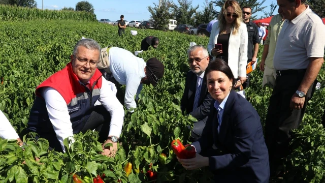 Karaaslan: Bafra Ovası’nı laboratuvar gibi düşünüyoruz