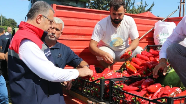 Karaaslan: Bafra Ovası’nı laboratuvar gibi düşünüyoruz — Fotoğraf 1