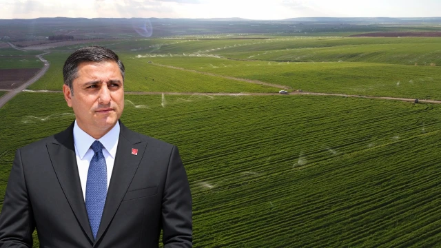 Karadağ: Sulamanın en kritik döneminde çiftçi elektriksiz