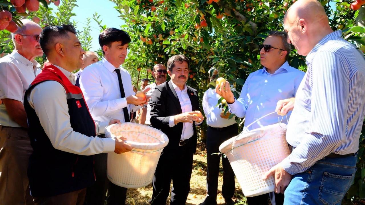 Karaman İl Tarım, elma bahçelerinde erken uyarı başlattı