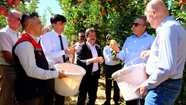 Karaman İl Tarım, elma bahçelerinde erken uyarı başlattı